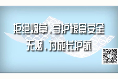 大鸡巴操小骚逼视频网站免费观看拒绝烟草，守护粮食安全